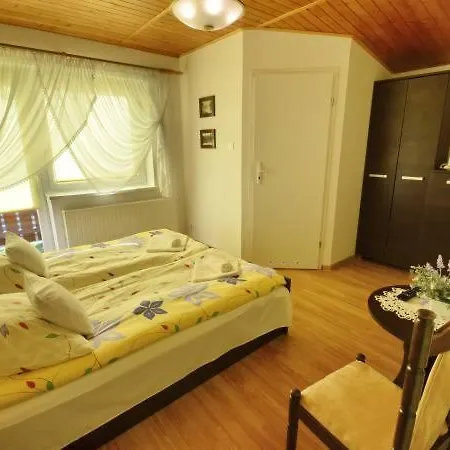 Panorama Guest house *